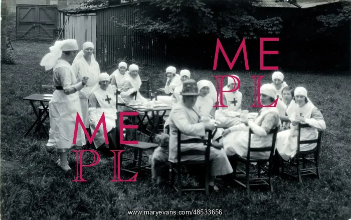 : Red Cross Nurses Garden Tea Party, Wisbech, England : Red Cross Nurses Garden Tea Party, Wisbech, England