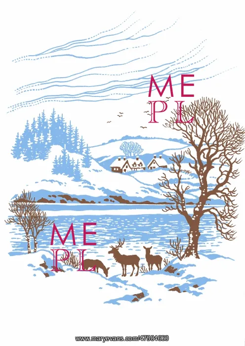 : Red Deer in Winter : Red Deer in Winter
