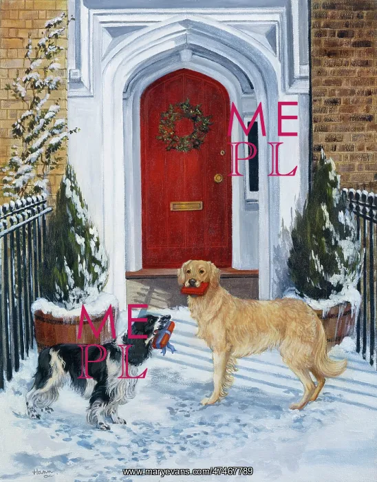 : Red Door ? golden retriever and spaniel : Red Door ? golden retriever and spaniel