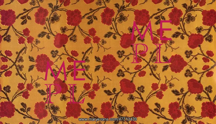  : Red Flower Pattern