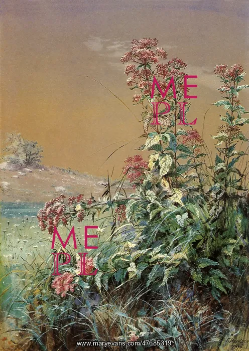  : Red-Flowered Weed