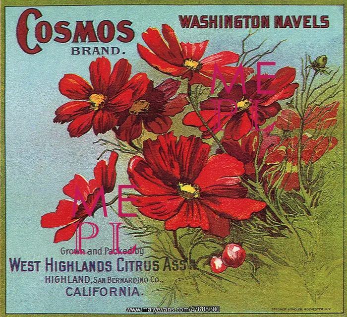  : Red Flowers on Label