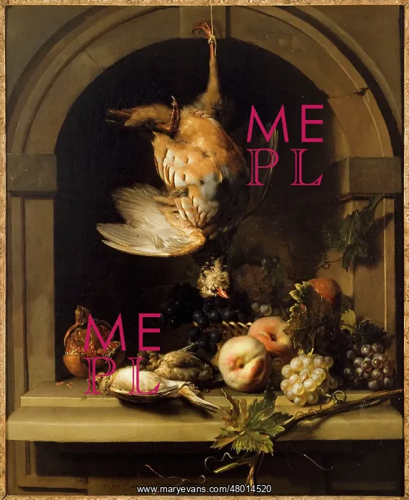 : Red partridge in a niche : Red partridge in a niche