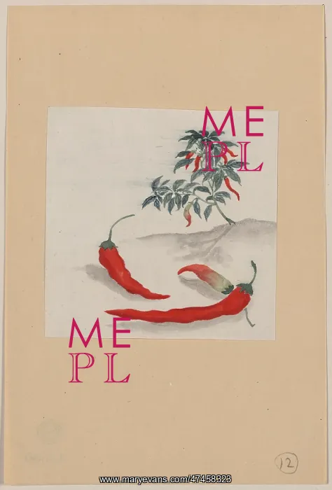 : Red peppers with plant growing in the background : Red peppers with plant growing in the background