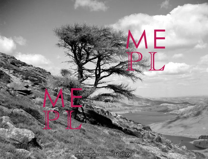 : Red Pike Mountain, Crummock Water, Lake District, Cumbria : Red Pike Mountain, Crummock Water, Lake District, Cumbria