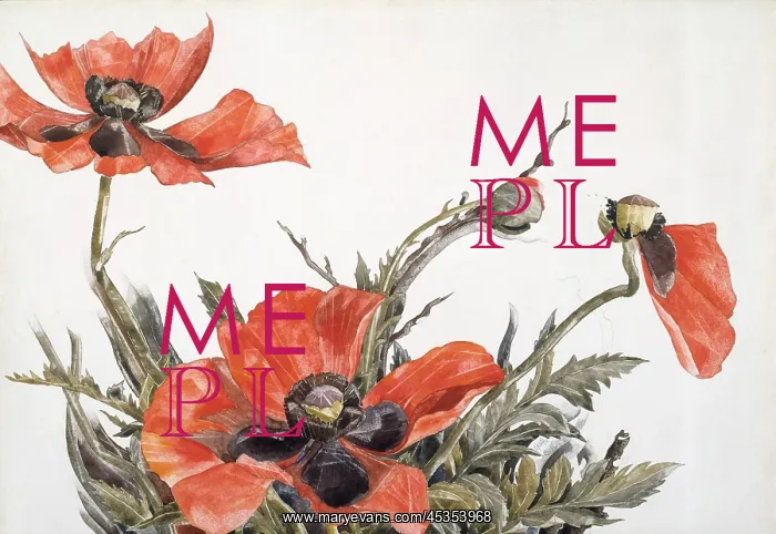 : RED POPPIES, by Charles Demuth, 1929, American painting : RED POPPIES, by Charles Demuth, 1929, American painting