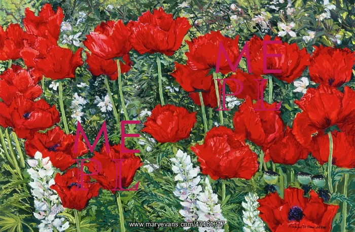  : Red poppies on leafy background