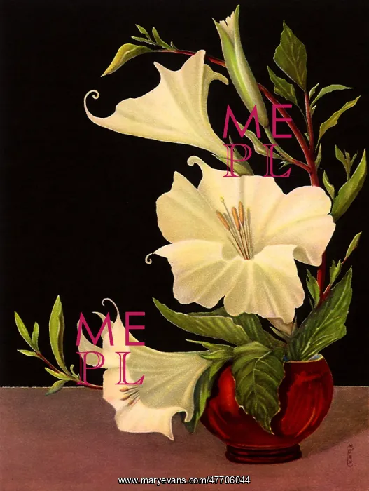  : Red Pot with White Flowers