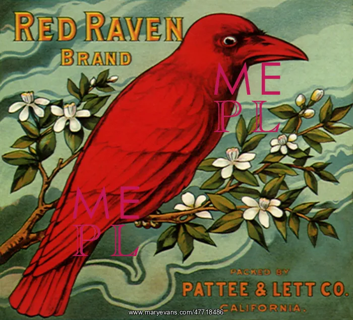  : Red Raven Fruit Label