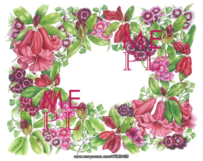 : Red Rhododendrons and Sweet Williams : Red Rhododendrons and Sweet Williams
