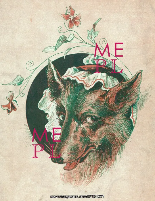 : RED RIDING HOOD WOLF : RED RIDING HOOD WOLF