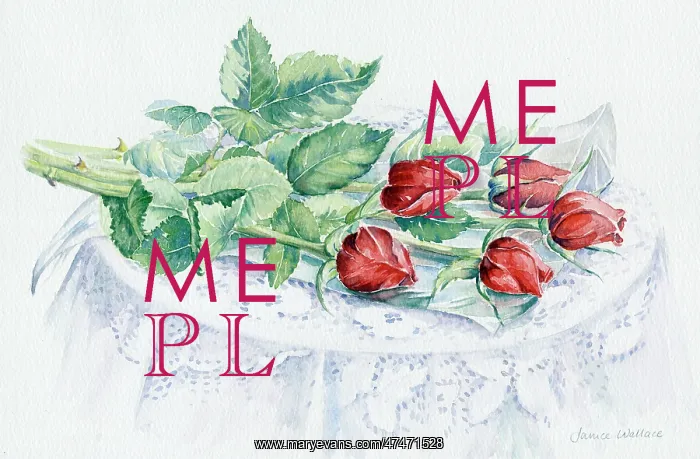  : Red Roses