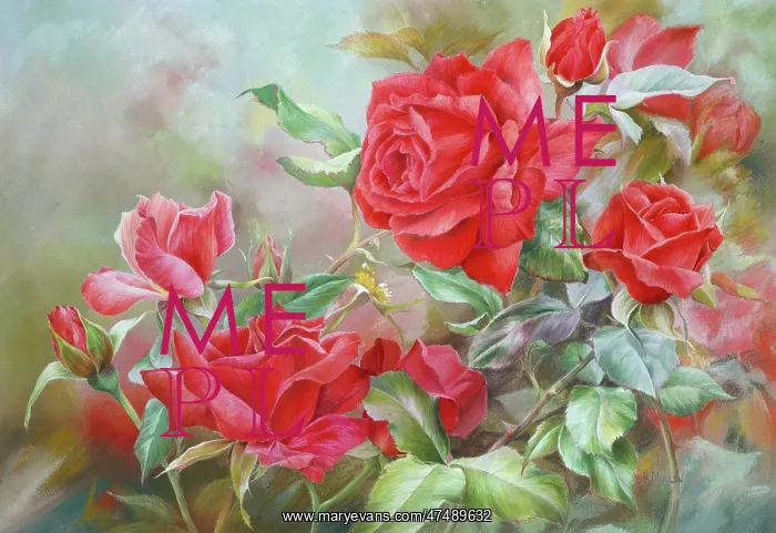  : Red Roses