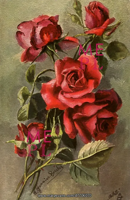 : Red Roses : Red Roses