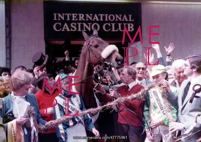 : Red Rum - champion Thoroughbred steeplechaser : Red Rum - champion Thoroughbred steeplechaser