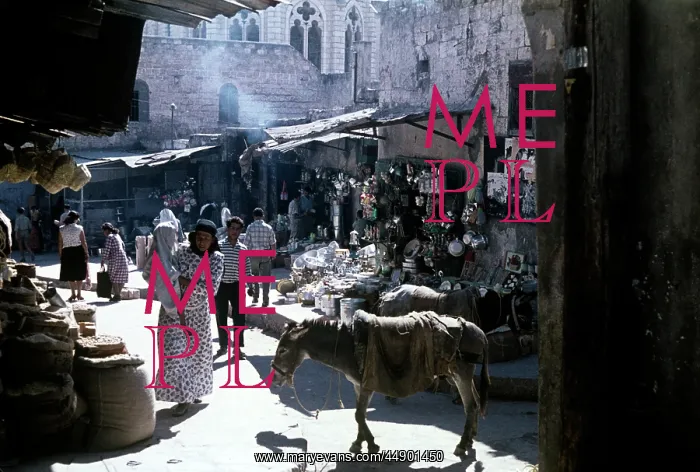  : Red Sea Egypt