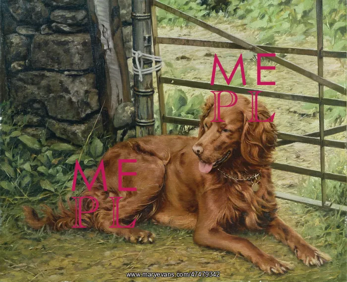 : Red Setter by an Iron Gate : Red Setter by an Iron Gate