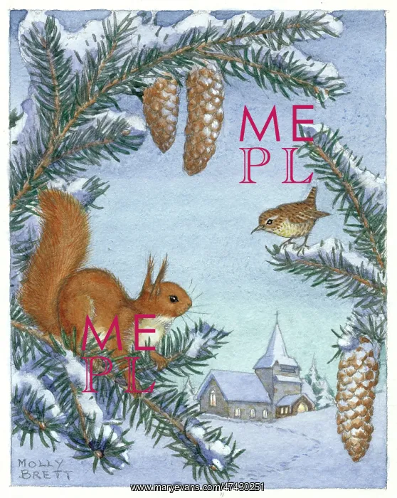 : A red squirrel and a bird sitting in a pine tree : A red squirrel and a bird sitting in a pine tree