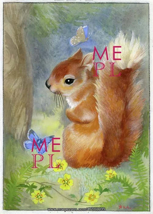  : Red Squirrel with two blue butterflies