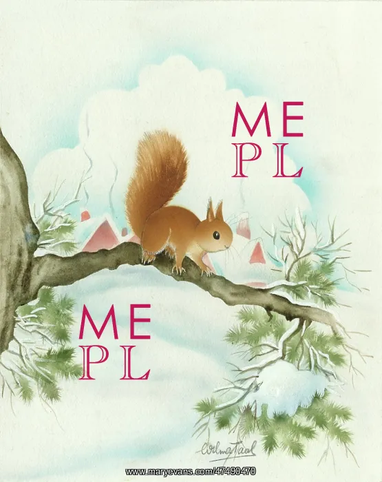  : Red Squirrel on a Bough in the snow