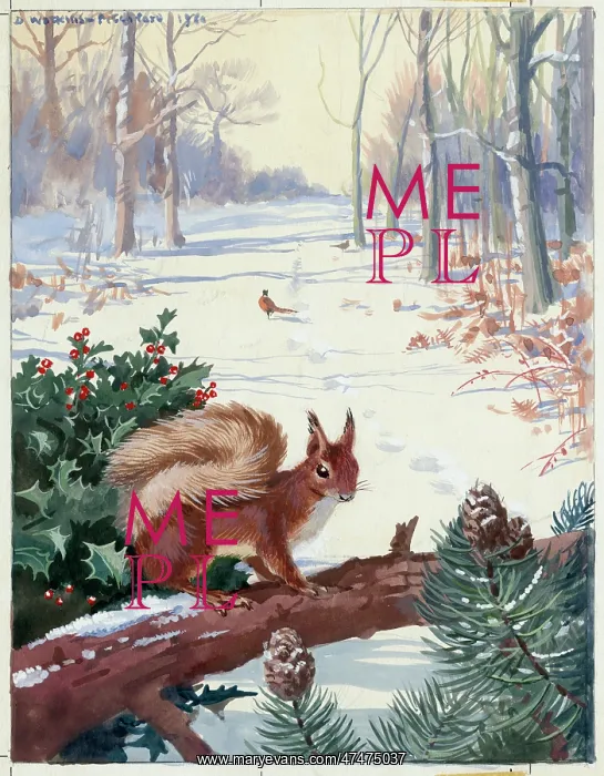  : Red squirrel on a branch