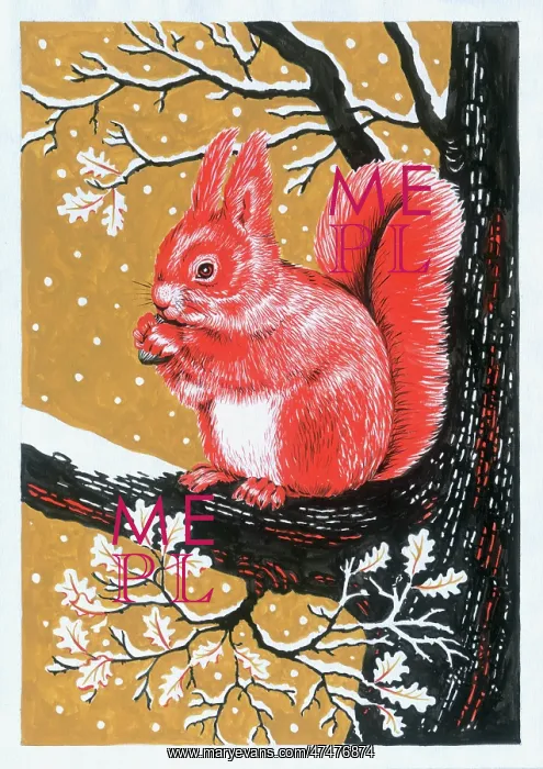 : Red Squirrel with a Nut on an Oak Tree : Red Squirrel with a Nut on an Oak Tree