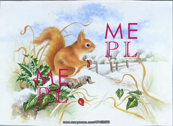  : Red Squirrel in a Snowy Landscape