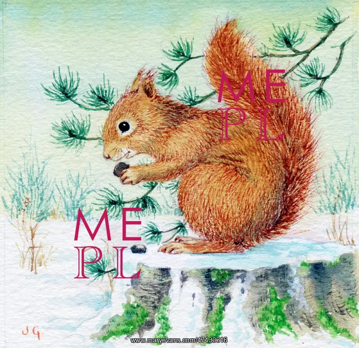  : Red Squirrel on a tree stump