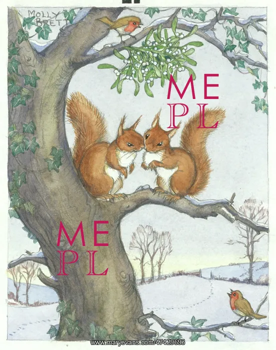 : Two red squirrels cosy up on a tree branch : Two red squirrels cosy up on a tree branch