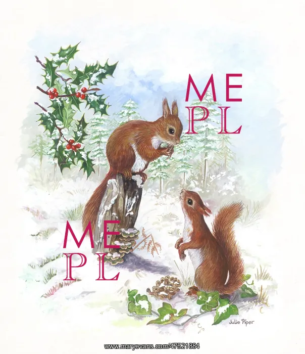 : Two red squirrels in the snow : Two red squirrels in the snow