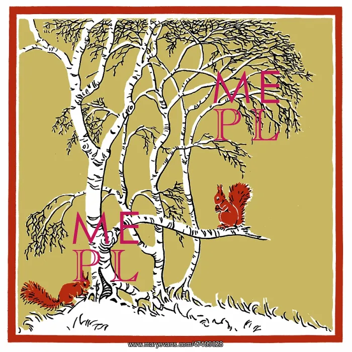  : Two red squirrels on a tree