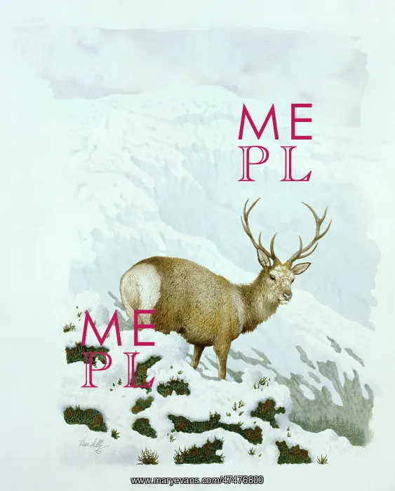  : Red Stag in Snow ' with mountains