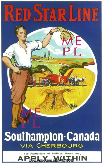 : Red Star Line to Canada poster : Red Star Line to Canada poster