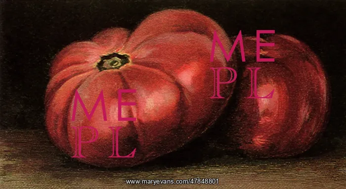 : Two Red Tomatoes : Two Red Tomatoes