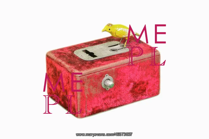 : Red velvet automatic pin dispenser box with small budgie : Red velvet automatic pin dispenser box with small budgie