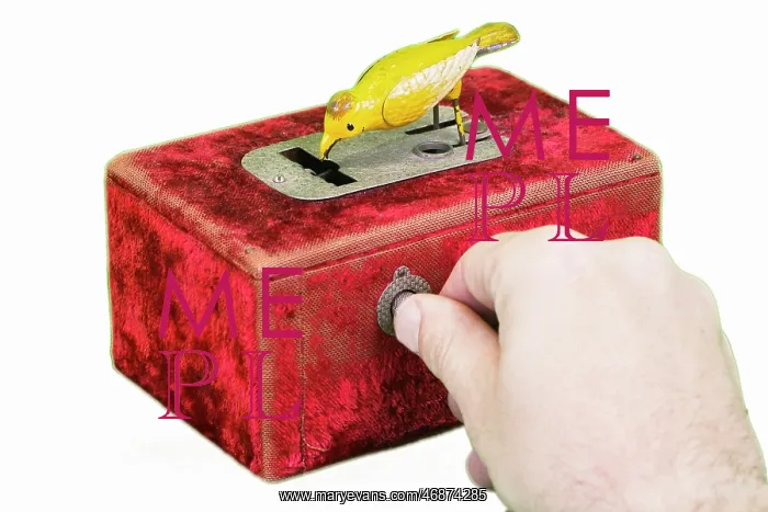 : Red velvet automatic pin dispenser box with small budgie : Red velvet automatic pin dispenser box with small budgie