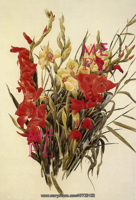  : Red and Yellow Gladioli