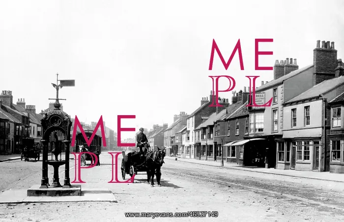 : Redcar, High Street 1885