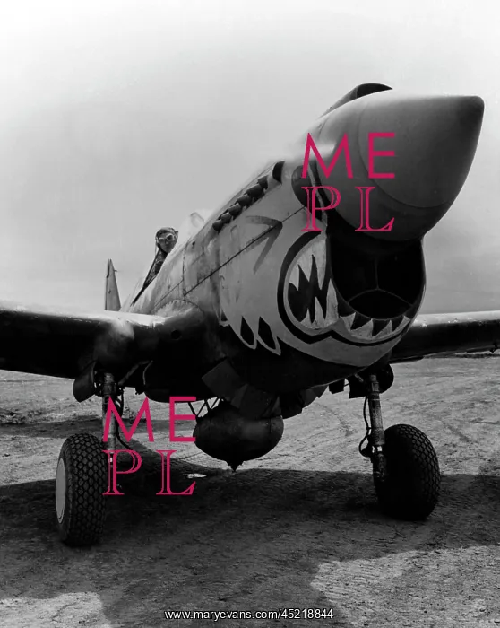 : One of the redoutable Flying Tigers ready ? : One of the redoutable Flying Tigers ready ?