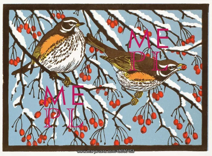 : Redwings : Redwings