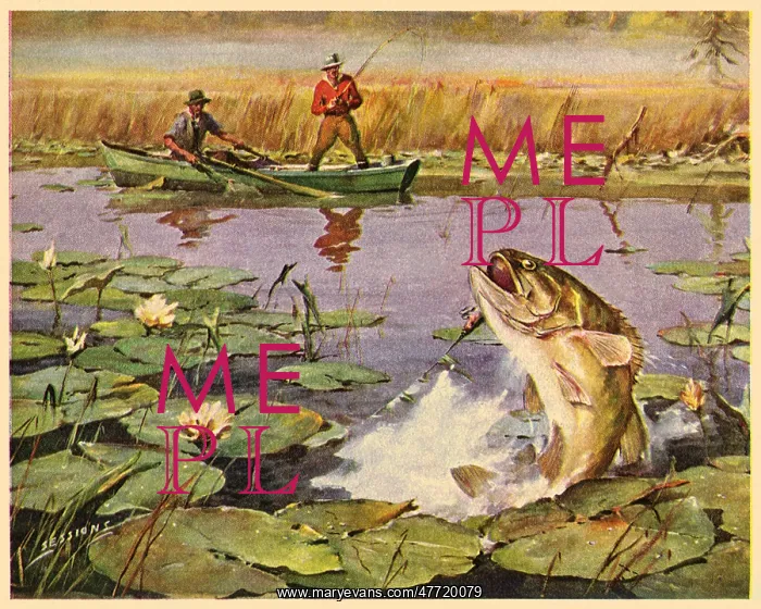  : Reeling in The Catch