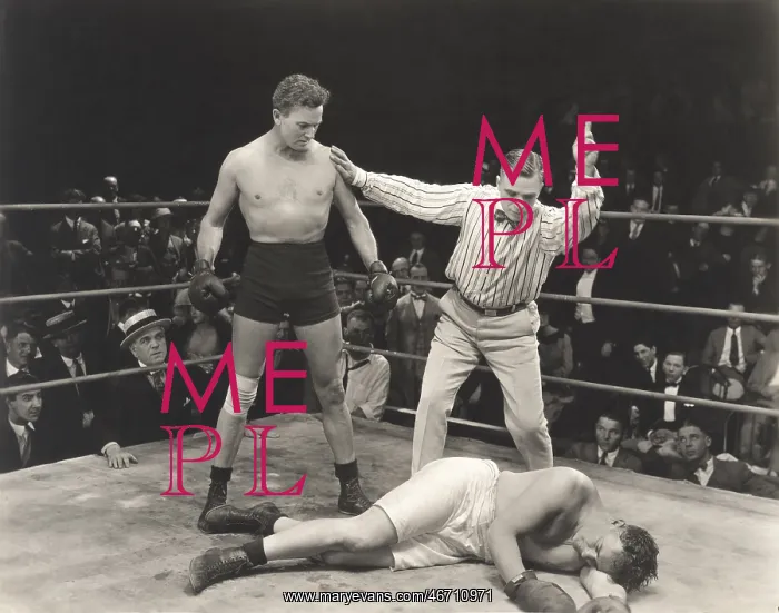 : Referee counting down knockout : Referee counting down knockout