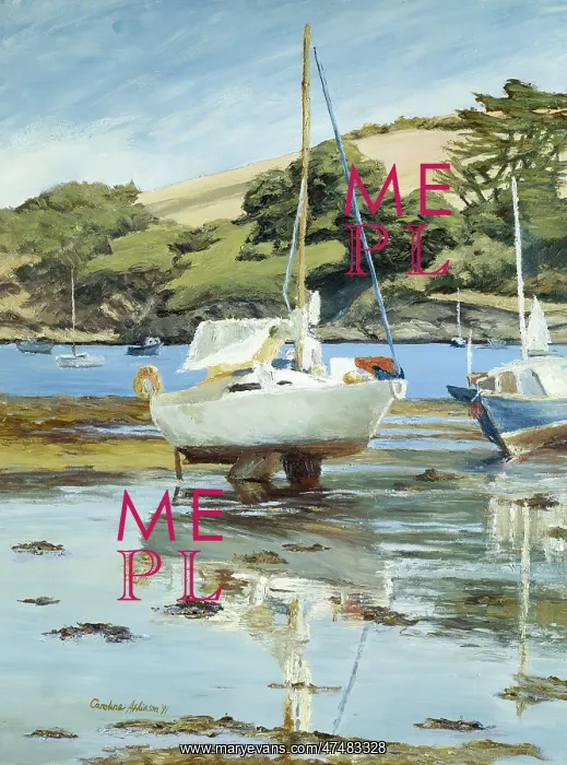  : Reflections on the River Helford