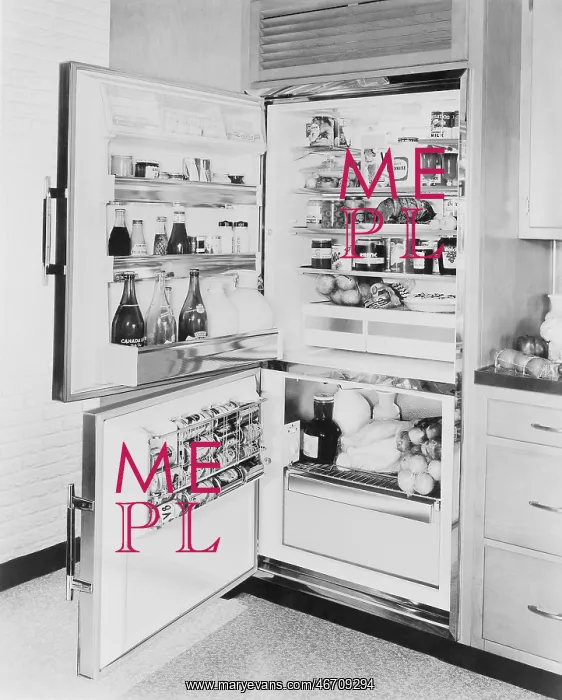 : Refrigerator, 1961 : Refrigerator, 1961
