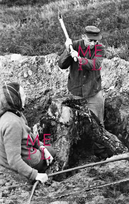 : Refugee couple digging a stub : Refugee couple digging a stub