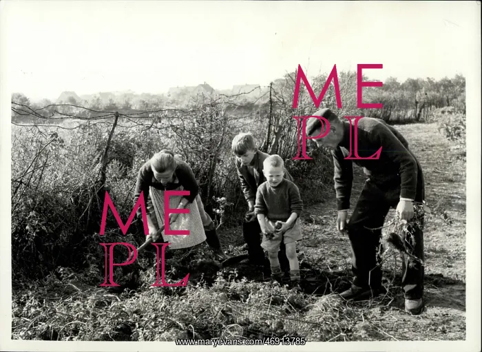 : Refugees. Sep. 23, 1956 - The tragedy of a family : Refugees. Sep. 23, 1956 - The tragedy of a family
