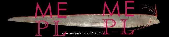 : Regalecus glesne, oarfish : Regalecus glesne, oarfish