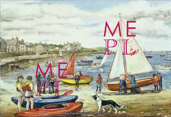 : Regatta Day, Parrog, Newport, Dyfed : Regatta Day, Parrog, Newport, Dyfed