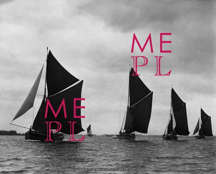 : Regatta on the Thames, 1936 : Regatta on the Thames, 1936