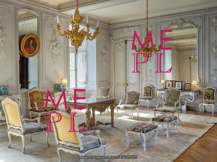 : Regency Salon, Chateau du Plessis-Bourre, Ecuille : Regency Salon, Chateau du Plessis-Bourre, Ecuille